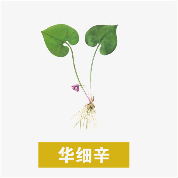 草药免抠