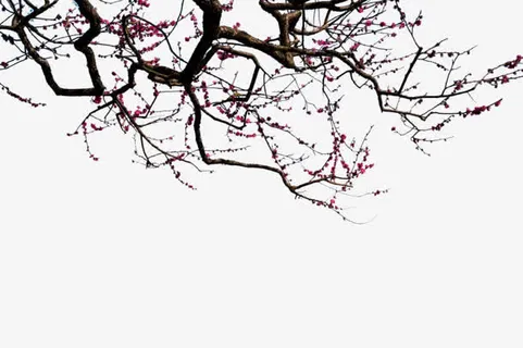 红色水墨树枝古典免抠