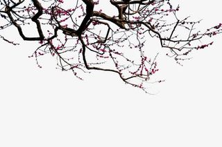 红色水墨树枝古典免抠