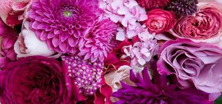 梦幻清新花朵全屏背景高清