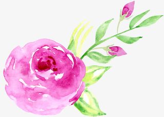 粉色玫瑰花装饰图案免抠