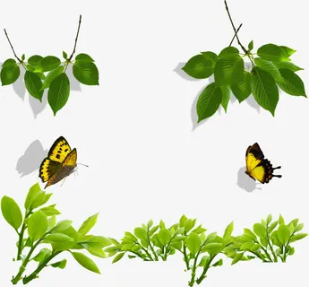 绿色春天卡通树叶蝴蝶免抠