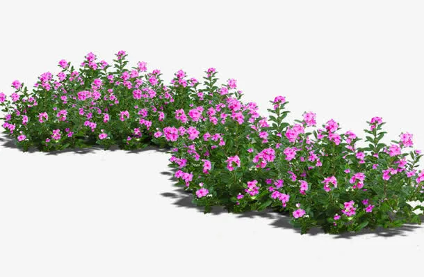 花草盆栽免抠