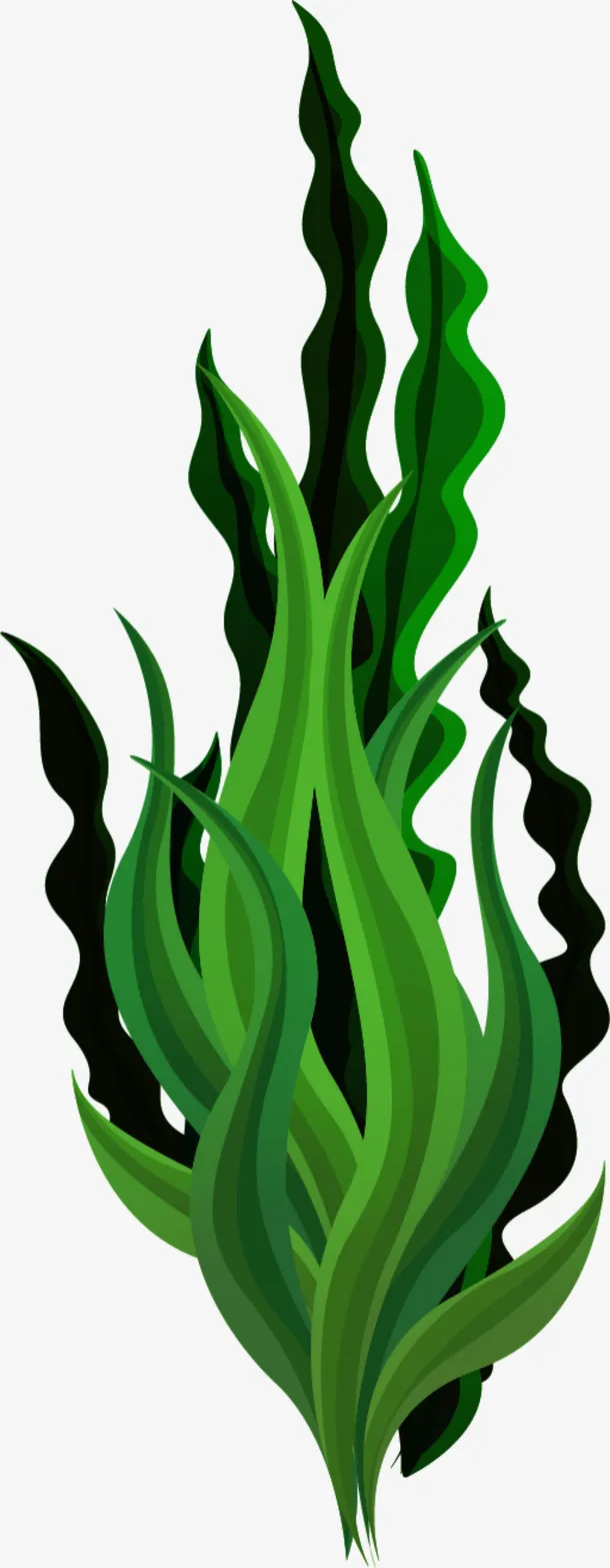 世界海洋日舞动的海草免抠