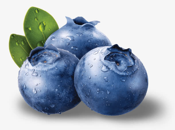 带着露水的蓝莓免抠