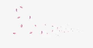 飘落桃花花瓣免抠