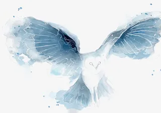 矢量水墨猫头鹰免抠