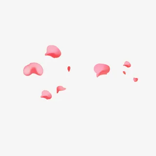 漂浮花瓣免抠