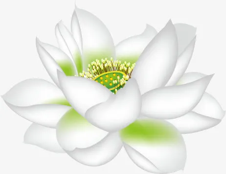 白荷花中国风宣传海报免抠