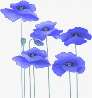 植物花草素材卡通装饰素材免抠