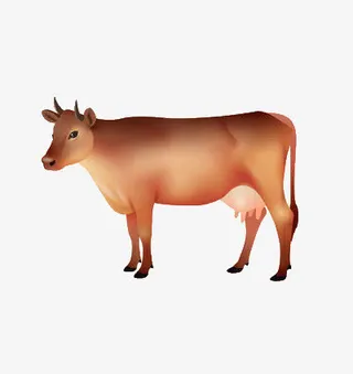 一头奶牛免抠