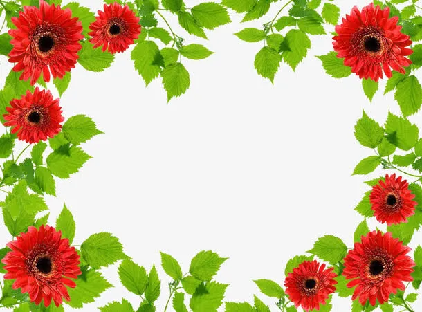 鲜花边框免抠