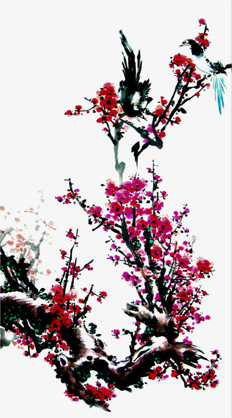 古典梅花鸟儿图片免抠