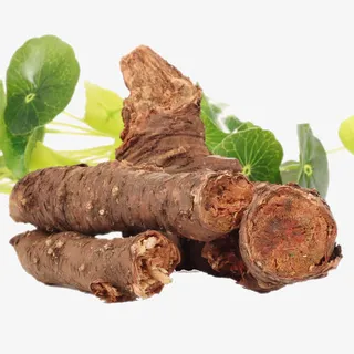 一级红景天特写免抠