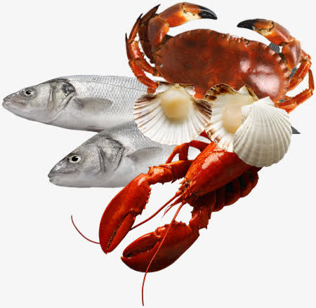 鱼虾螃蟹海鲜免抠