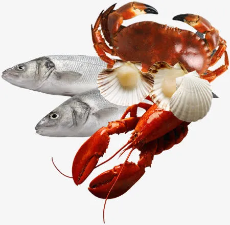 鱼虾螃蟹海鲜免抠