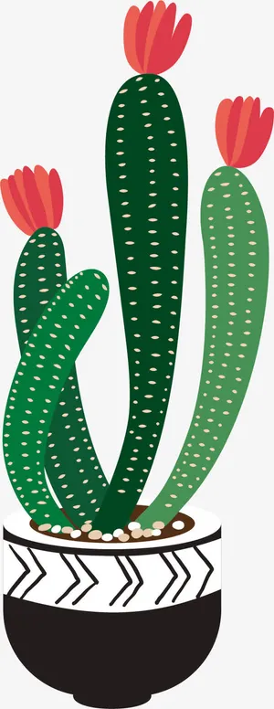 仙人掌花PNG下载免抠