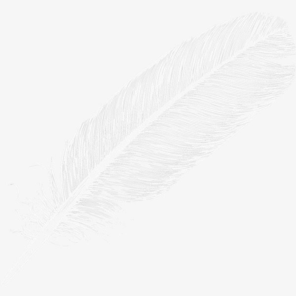 白色羽毛图案免抠