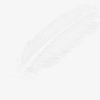 白色羽毛图案免抠