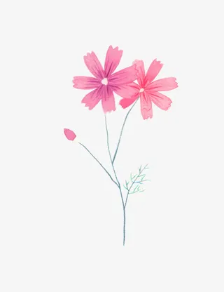 小清新花瓣免抠