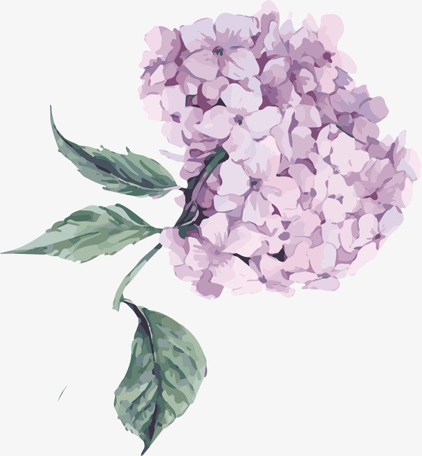 矢量清新绣球花花卉免抠