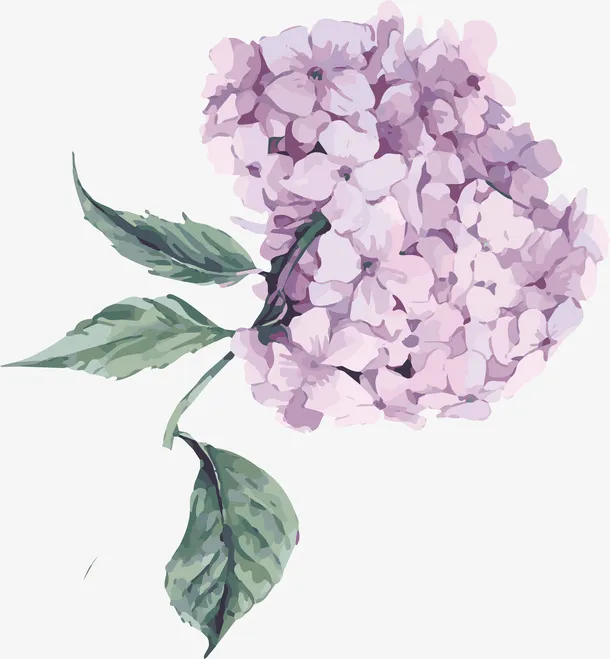 矢量清新绣球花花卉免抠
