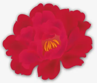 中秋牡丹花免抠