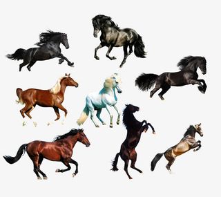 宝马八骏图免抠