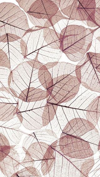 简约文艺树叶H5背景图高清