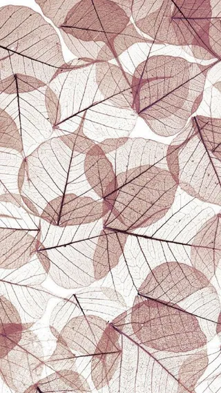 简约文艺树叶H5背景图高清