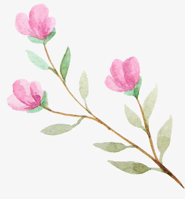 树枝上粉色的花朵免抠