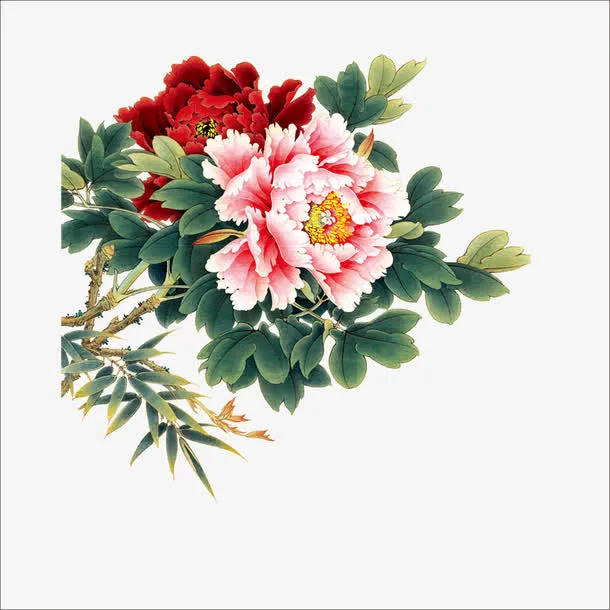 重阳鲜花免抠