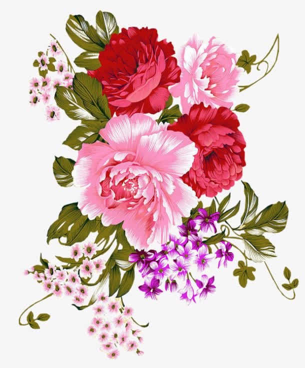 高清手绘鲜花牡丹免抠