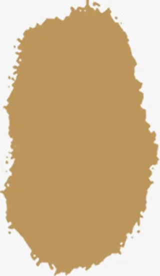 棕色印章印记空白免抠