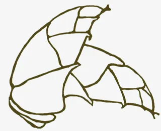 镂空竹笋（大熊猫的食物）免抠