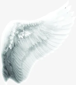 洁白羽翼右七夕免抠