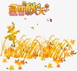 品味秋天免抠