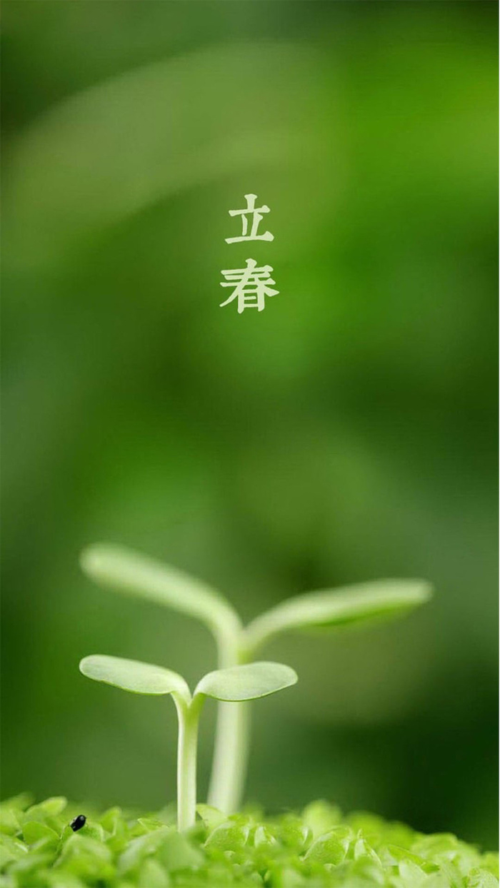 绿色背景上的新芽H5素材背景高清