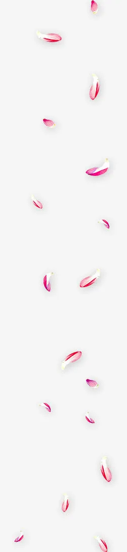 粉红花瓣漂浮飘落免抠