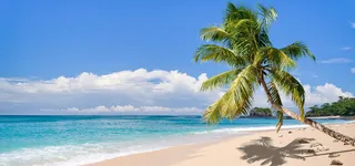 清新夏威夷海滩淘宝海报背景高清