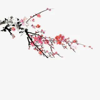 梅花图片免抠