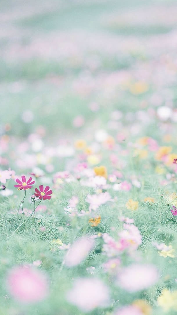 模糊粉紫一片花海免抠