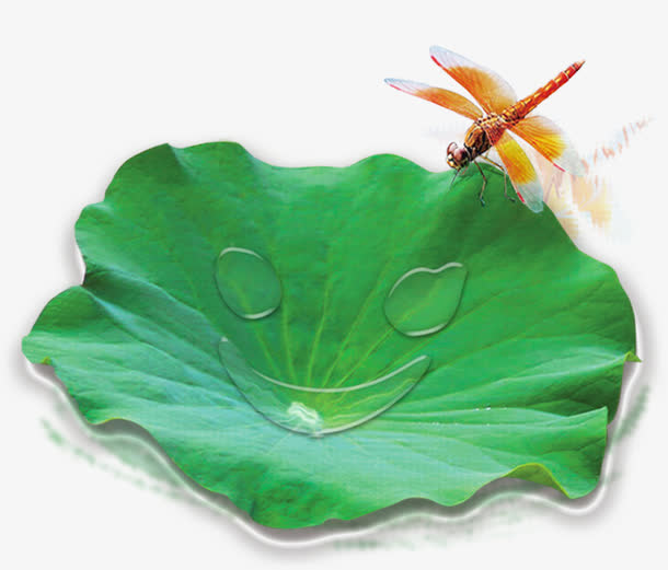 荷叶免抠