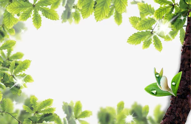 绿叶相框 植物相框免抠