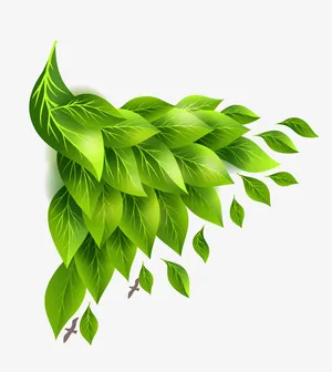 矢量绿色树叶装饰春天免抠