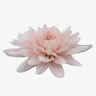 古风配饰古风配饰图片免抠