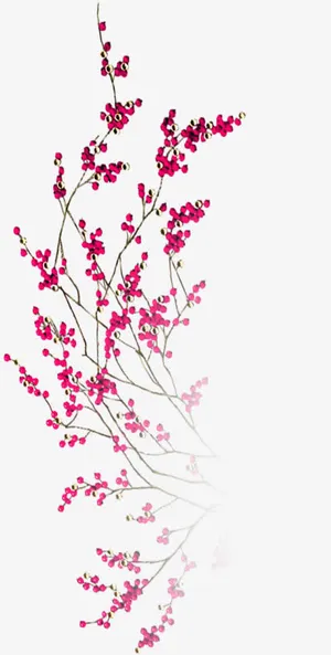 春天红色植物花朵免抠