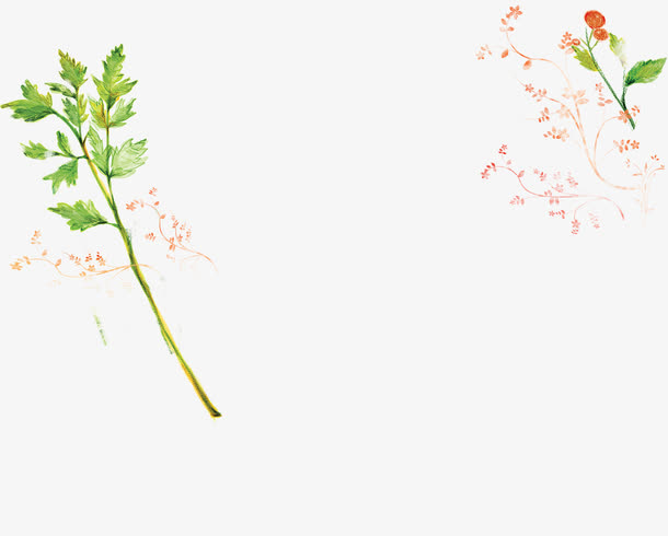 手绘红色小花绿叶免抠