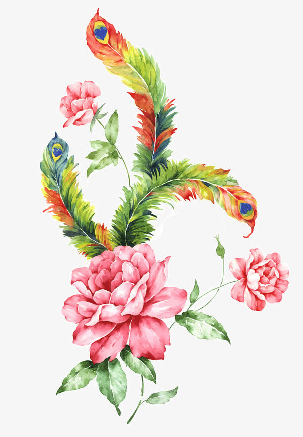 孔雀迷花免抠