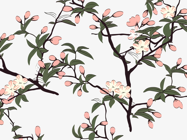 手绘植物花卉印花面料材质透明p免抠